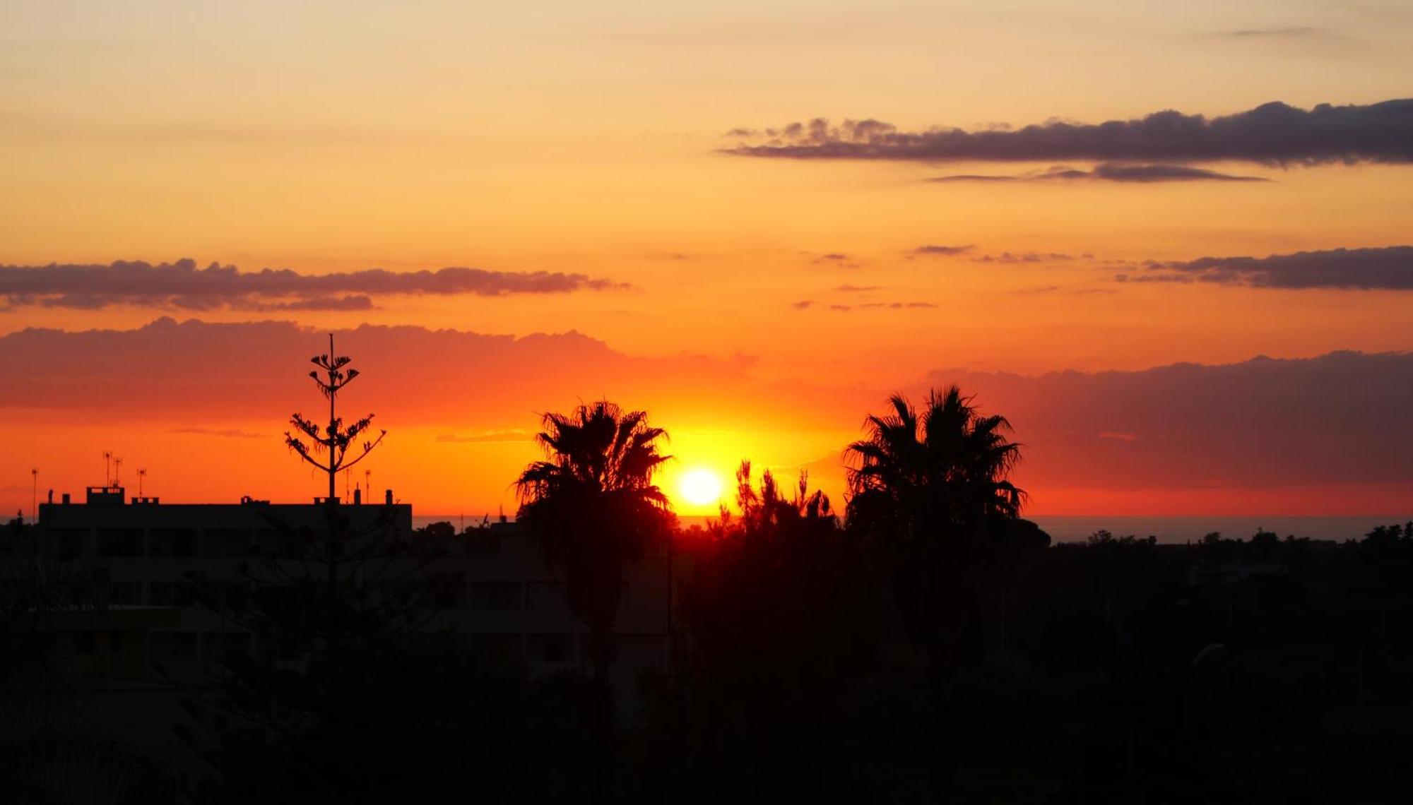 Palazzo Aurora Bed and Breakfast Alezio Εξωτερικό φωτογραφία